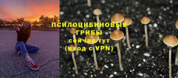 экстази Арсеньев