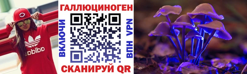 Псилоцибиновые грибы Psilocybe  Нижний Ломов 